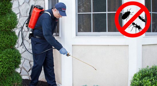 Kadınhanı Kemirgen İlaçlama böcek ilaçlama ve haşere kontrolü — ilaclama-tr.com